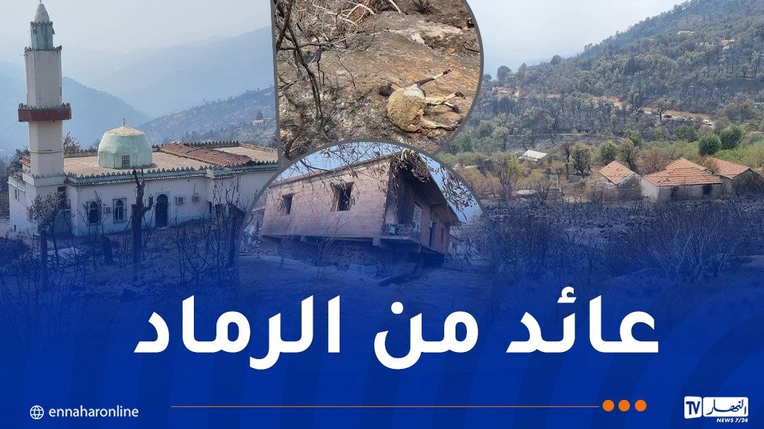 عائد من الرماد.. هكذا ساهمت هواتفنا في إنقاذ الأرواح والتخفيف من وطأة الحرائق