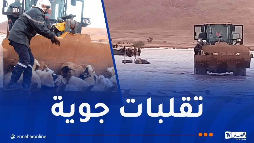 تقلبات جوية.. تحرير مركبات عالقة وإنقاذ 120 رأس غنم محاصرة بالمياه