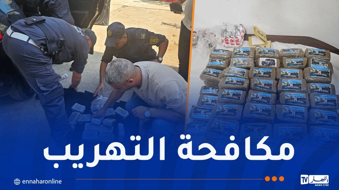 توقيف 7 أشخاص وحجز أكثر من 61 كلغ مخدرات في الشلف