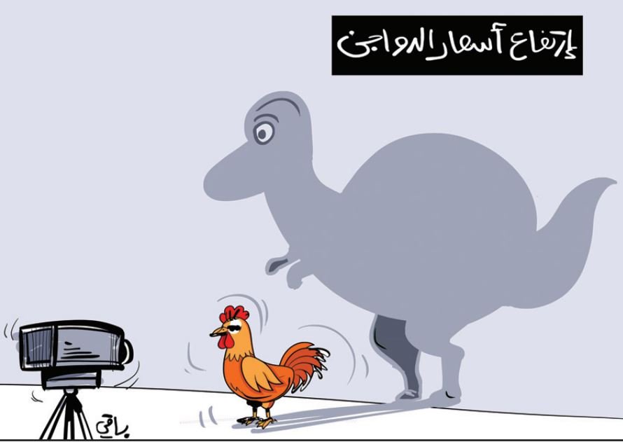 الدواجن