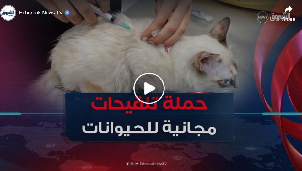 حملة مجانية لتلقيح الحيوانات الأليفة ضد الكلب في ولاية قسنطينة
