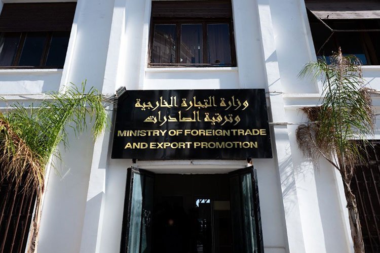 عمال يظهرون قبل الاستيراد ويختفون بعده!