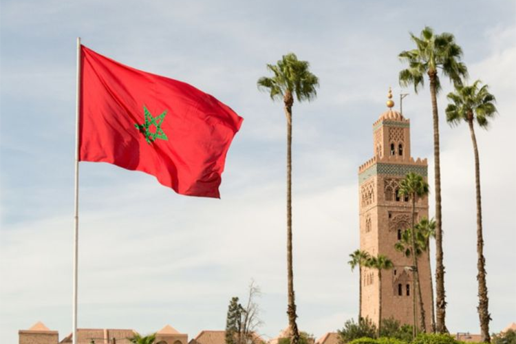 سفيه بدرجة سفير