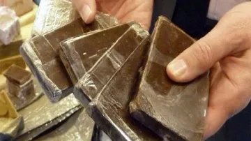 الإطاحة بعصابة خطّطت لبيع قوالب من الملح على أساس مخدرات مقابل مليار ونصف سنتيم