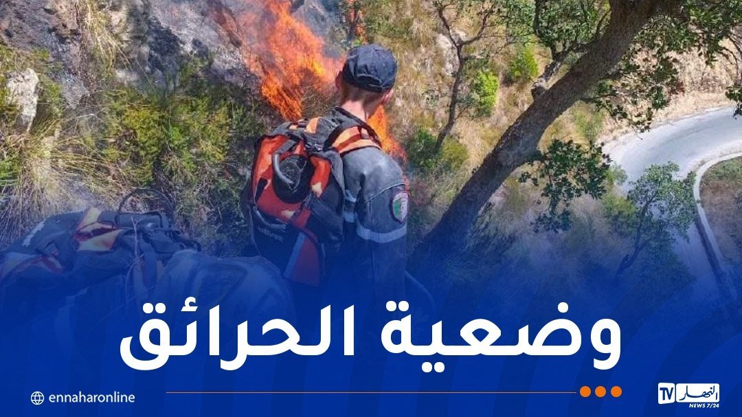برناوي: أكثر من 141 ألف هكتار تضررت من الحرائق