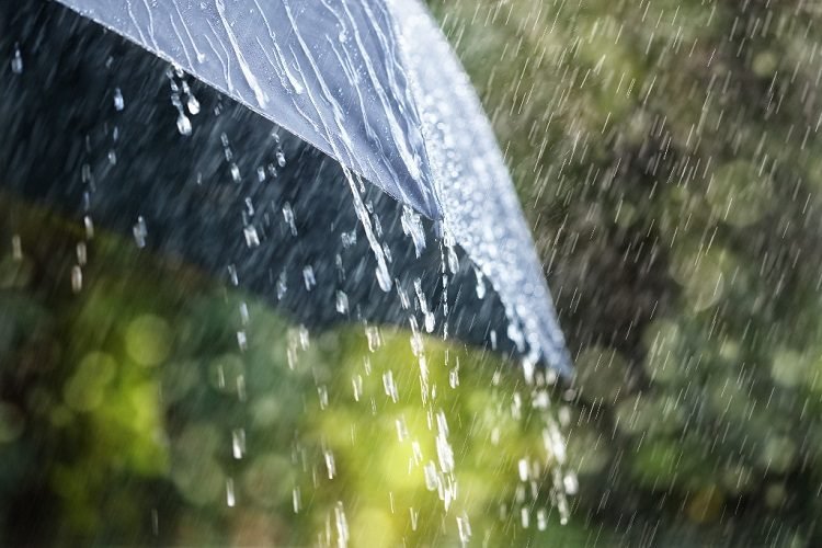 تنبيه: أمطار رعدية غزيرة عبر 19 ولاية