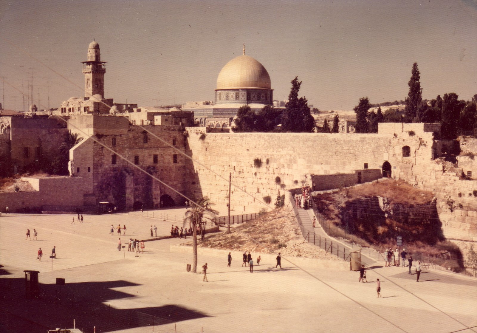 سر تعلق الجزائريين بفلسطين