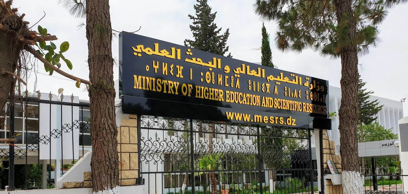 انتقاء 937 مشروعًا جامعيًا مبتكرًا بتمويل يفوق 1.18 مليار دينار