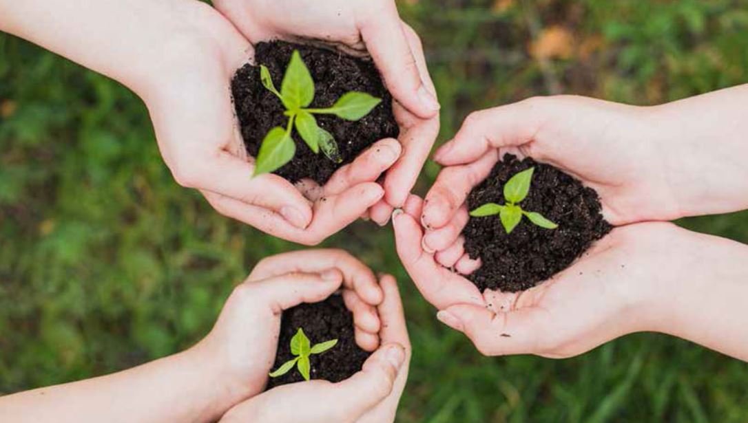  التربية البيئية… الاستثمار في الأجيال الصاعدة لحماية الموارد الطبيعية