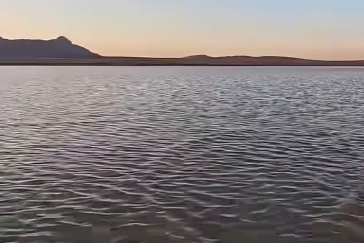 سبخة الزمول بأم البواقي تتحول إلى مقصد لعشاق الطبيعة وهواة التصوير