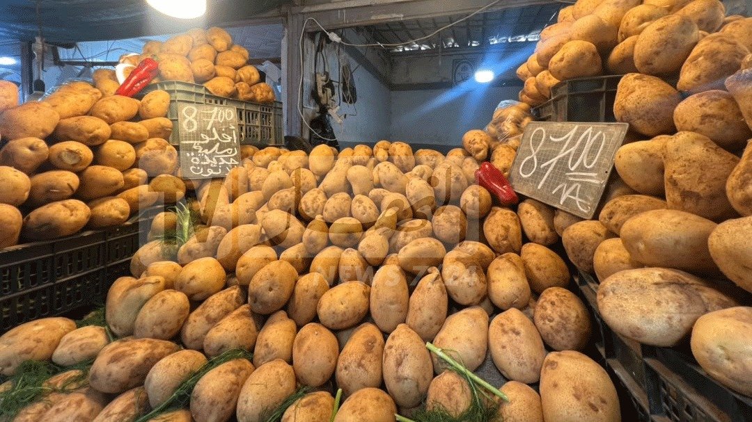 بالصور.. تراجع ملموس في أسعار الخضر واسعة الاستهلاك بسوق بئر خادم