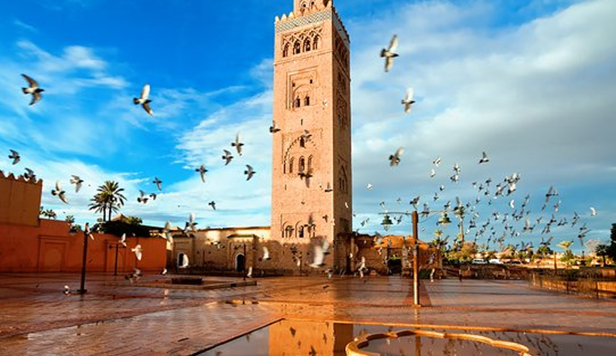 من يحرّر مراكش من الاستعمار الإسرائيلي؟