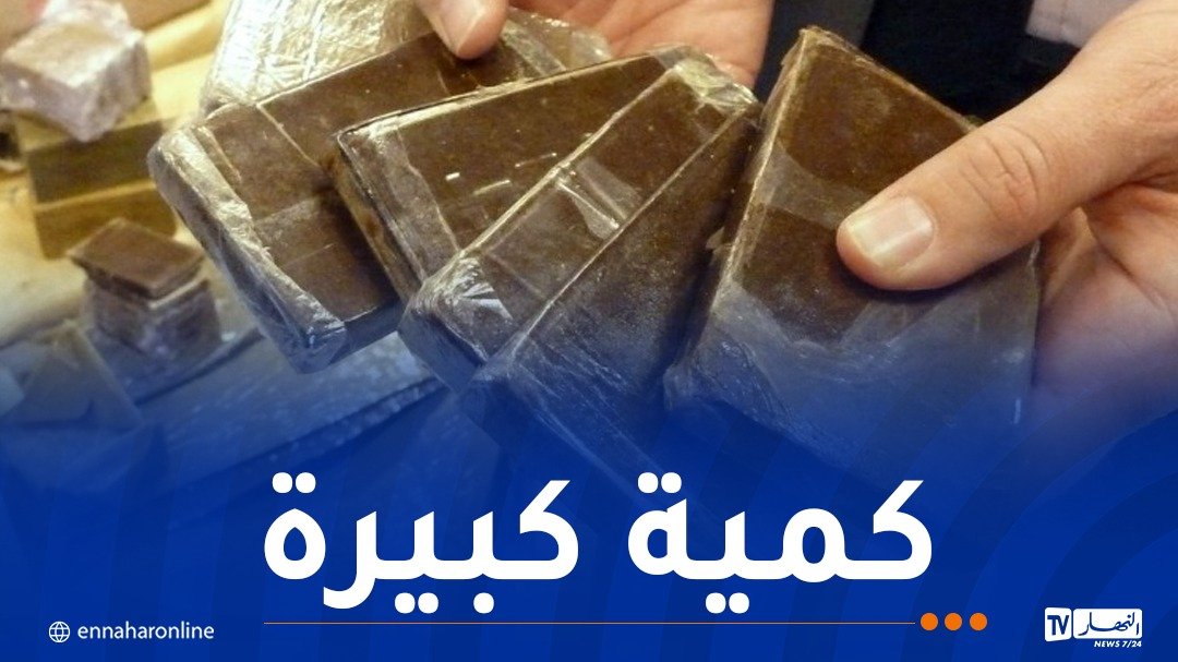 23 متهّما موقوفا بينهم” فتاة” جلبوا 110 كلغ “مخدرات” من عين الصفراء لإغراق البليدة والمدية