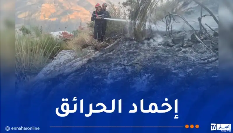 الحماية المدنية: إخماد 25 حريقا عبر عدة ولايات
