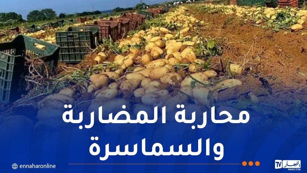 اتحاد التجار والحرفيين يثمّن تسقيف أسعار البطاطا