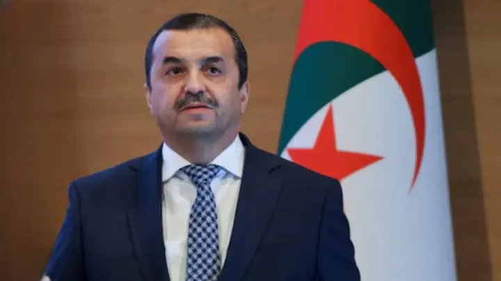 الجزائر ستواصل تطوير مشروع أنبوب الغاز العابر للصحراء بواقعيّة