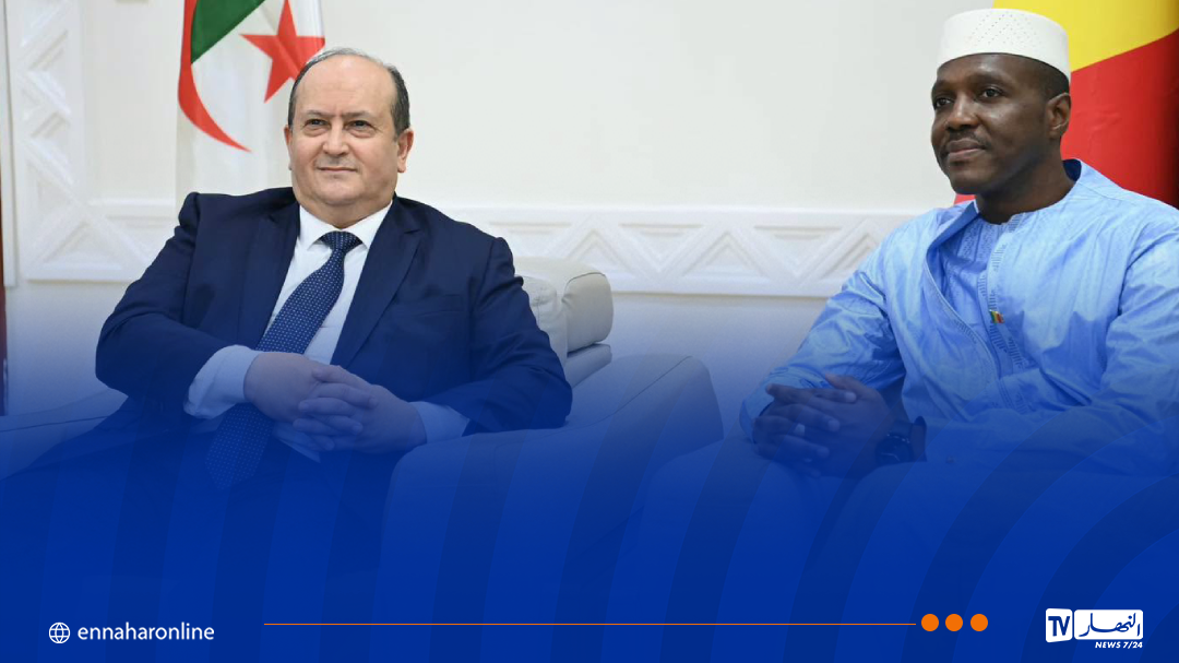 الوزير الأول يتحادث مع نظيره المالي بباماكو