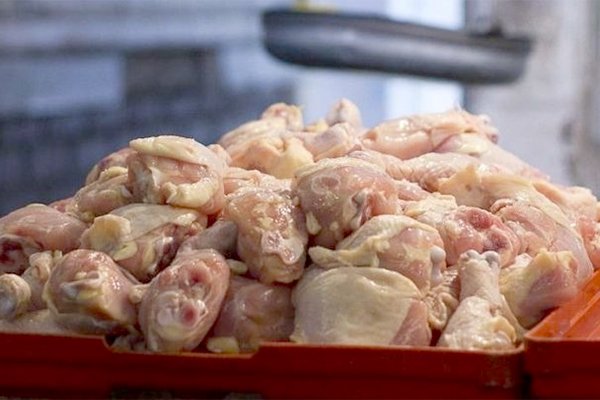 إحباط تسويق دجاج فاسد بالبويرة